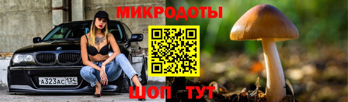 Псилоцибиновые грибы мицелий Магадан